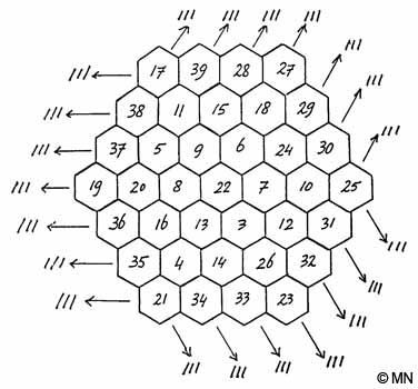 Het goedgeordende sommatief magisch 37-hexagram