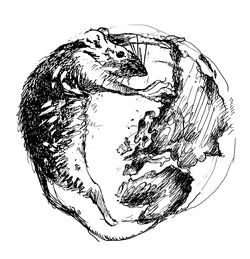 Wereldvrees - Wereld Muis